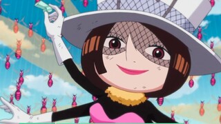 [One Piece] Only 5 types of flying abilities? There are 16 strong characters | Is Oda's setting brok