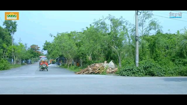 বাংলা নতুন নাটক ২০২৫!#নাটক