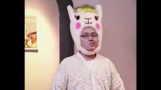 【Potato】Little alpaca, bah, bah, bah