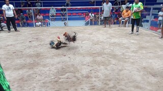 Larry Romero grey second fight win champion 2hits ulutan