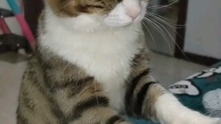 غير راغب على الإطلاق