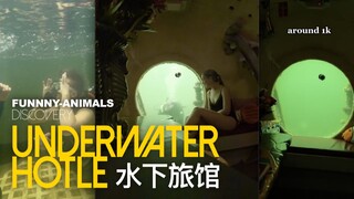 要潜水进入的水下旅馆！想去