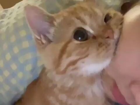 Maybe this is why people keep cat fleas~~