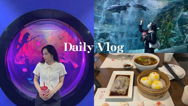 DAILY VLOG| Lần đầu đến Aquarium 🐋 ở Seoul, Cho bạn Hàn ăn thử rau muống xào tỏi 😀