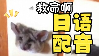 奇怪的鼠鼠，但是日语版