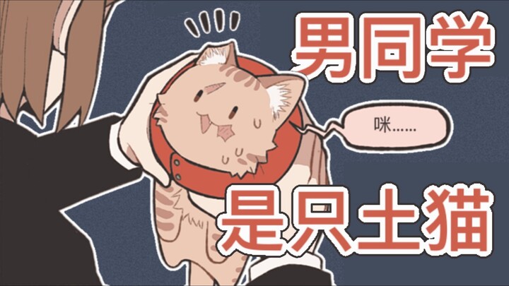 Bạn nam là một chú mèo đất [Ủng hộ B-moe]