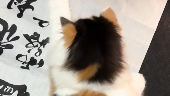 Usia satu tahun memang usia penuh kenakalan!