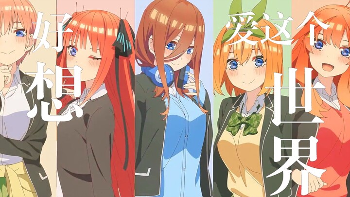 你绝对没看过的五等分剪辑（相信我）
