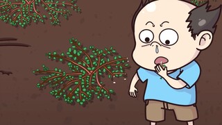 这草长得这么像虫，也难怪鸟会认错