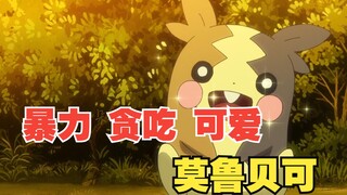 暴力贪吃又可爱的综合体—莫鲁贝可