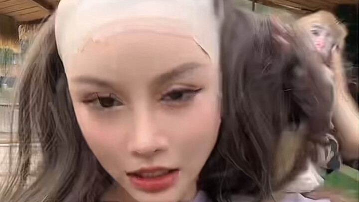 《 改 变 大 家 对 猕 猴 的 看 法 》