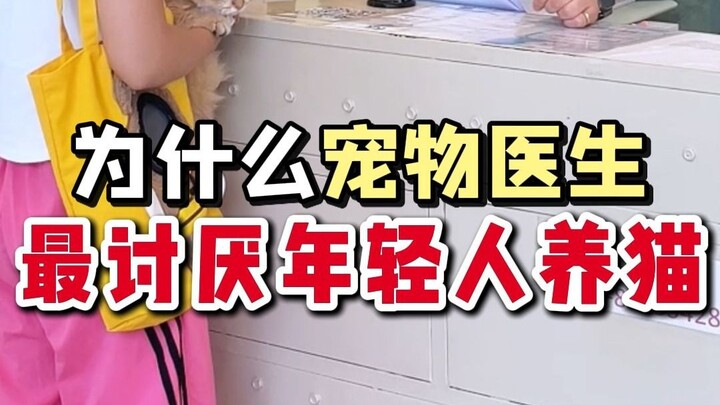 Why Do Vet Doctors Hate Young People Owning Cats?