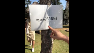 กรุณาอย่าวิ่งไล่สัตว์555555