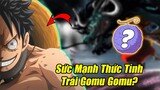 Cách Để Thức Tỉnh Trái Ác Quỷ? - Tiềm Năng Sức Mạnh Giúp Luffy Đánh Bại Kaido | Thảo Luận One Piece