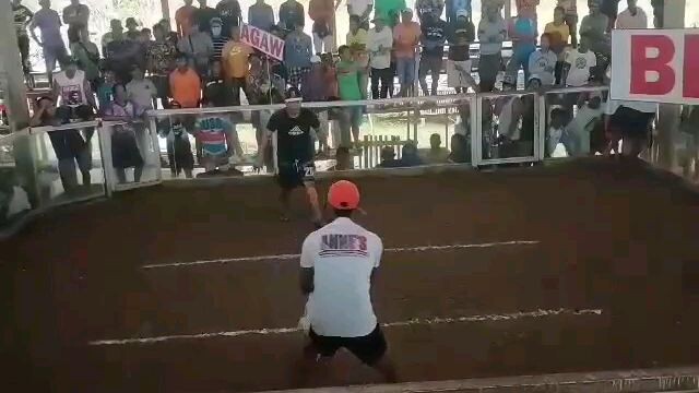 2nd fight win (3cock derby)