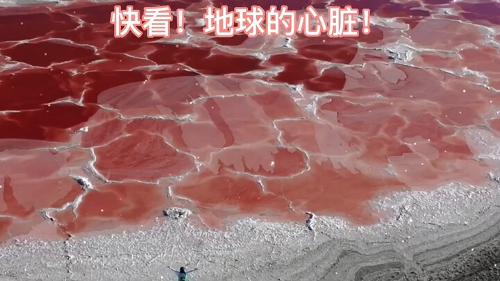 It turns out Earth's heart is actually real—such a rare sight! Who would you share it with first?