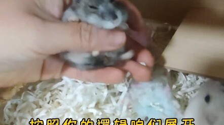 Trách Bồ Tát Ma Ha Tát