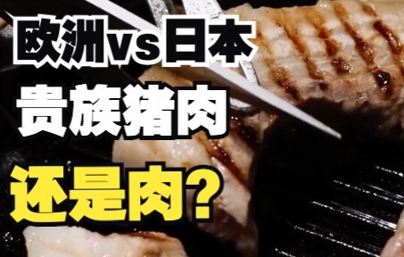 Và thứ bị bom lợn đánh bay… là nhiệt lượng ư?