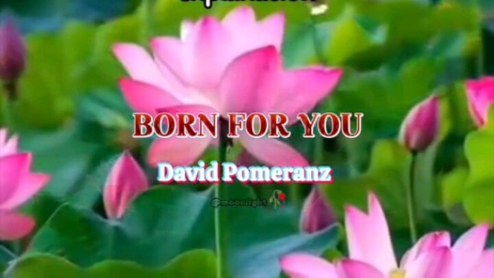 born for you my favorite