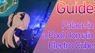 Palace in a Pool Domain - Electro Cube - Guide