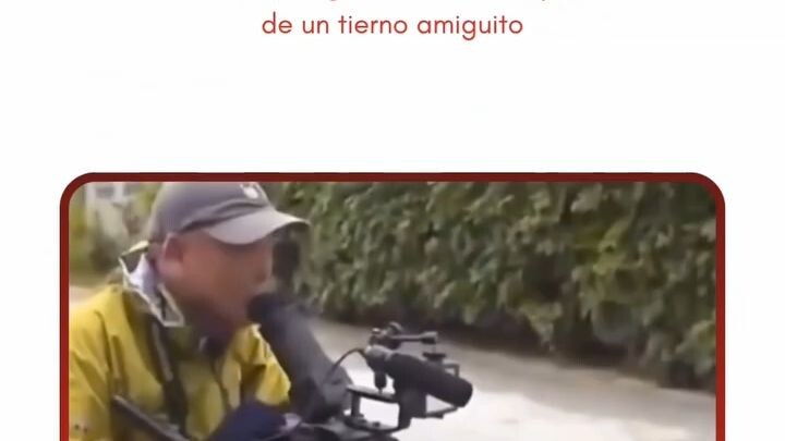 Gatito Elige a Camarografo como Durño