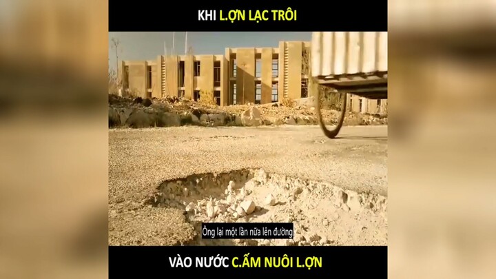 #Review Phim|Khi lợn lạc trôi vào nước cấm nuôi lợn p2
