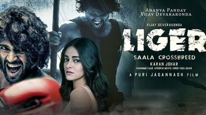 Liger | Hindi dubbed | Moviehours