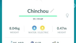 Chinchou