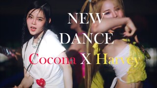 《XG-NEW DANCE》Harvey X Cocona Clip