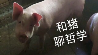 Chatting Philosophy with a Pig