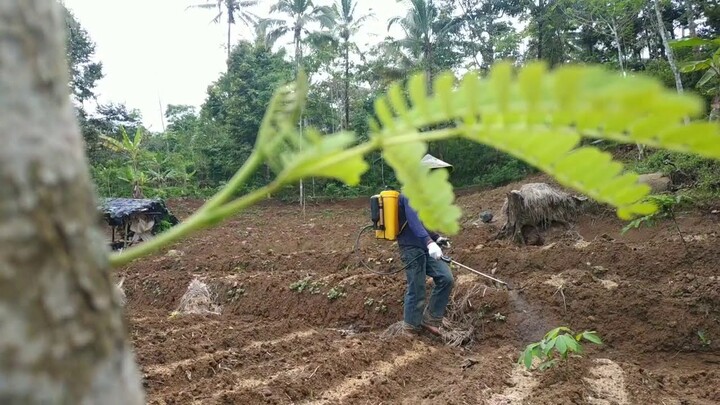 STOP!!! JANGAN JADI PETANI (PENYANGGA TATANAN NEGARA INDONESIA)