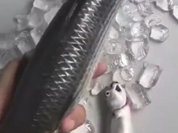 هل تسمي هذا طُعمًا؟