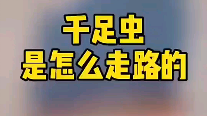 How Do Millipedes Walk?