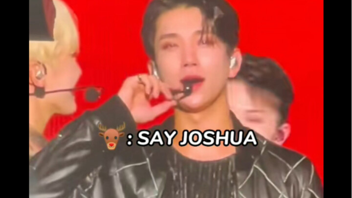 【Hong Jisoo Joshua】Ông chồng người Mỹ rất giỏi dạy chó của tôi