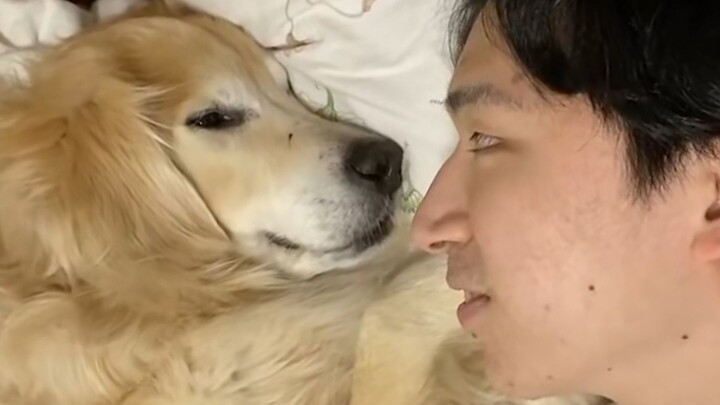 “Loving humans is hardwired into dogs’ DNA!”