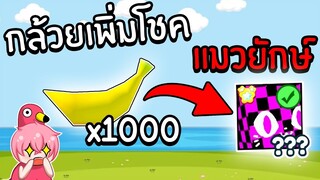 ได้แมวยักษ์แน่ๆ แค่กินกล้วย | Roblox Pet Simulator X