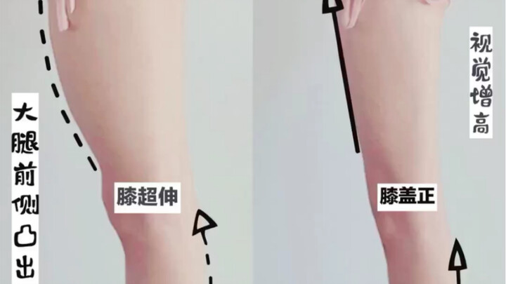 每天简单七个动作，快速瘦大腿