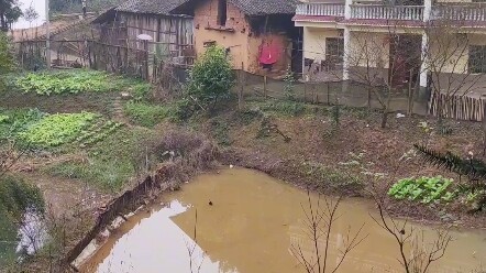 我中了三箭才知道敌人在哪！