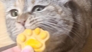 十五的月饼十六香，地板一半我一半