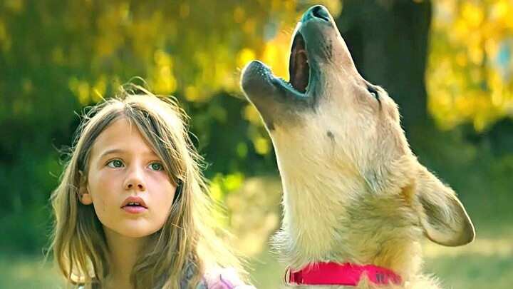 Girl Thought She Adopted An Adorable Puppy, Until One Day He Barks Like A wolf