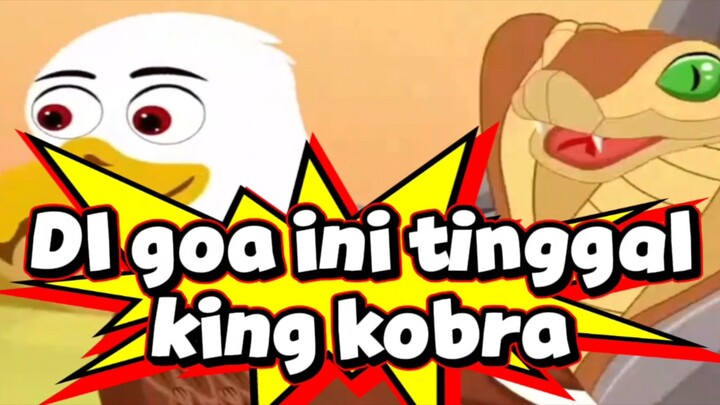 ULAR MAKAN ELANG ?! KING KOBRA VS ELANG