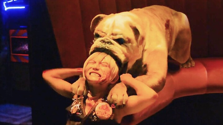 A restaurant that only serves assassins—get the wrong dish, and you’ll lose your life! Being a serve