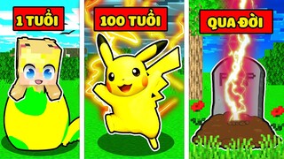 NẾU TÔ GÀ EM BÉ PIKACHU CÓ CUỘC SỐNG TRONG MINECRAFT TỪ KHI SINH RA ĐẾN LÚC QUA ĐỜI*TÔ GÀ NHẬN NUÔI