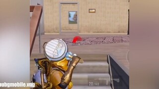 Lý do nên có pet trong game