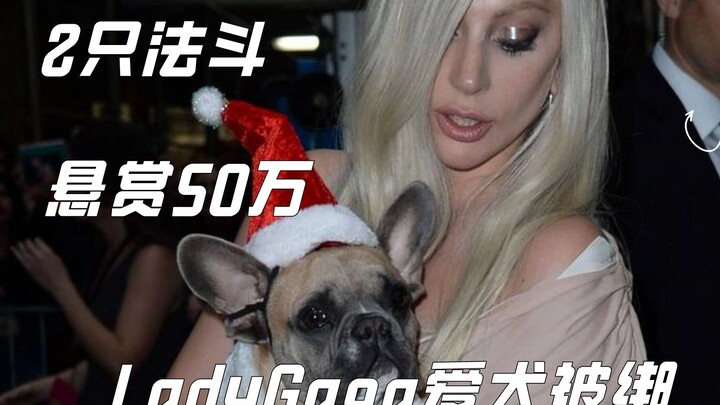 Lady Gaga’s Dog Kidnapped: $500,000 Reward Offered as FBI Launches Investigation
