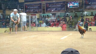 2 Hits Champion - Right Side (JBK) - Win | Unscratched