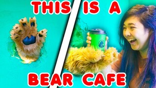 I Went to Japan’s Bear Cafe