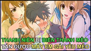 Thanh Niên Biến Thành Mèo Để Tán Gái | Tóm Tắt Anime