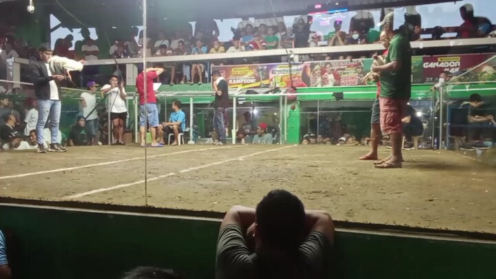champion 2hits, patay ngalang si puti