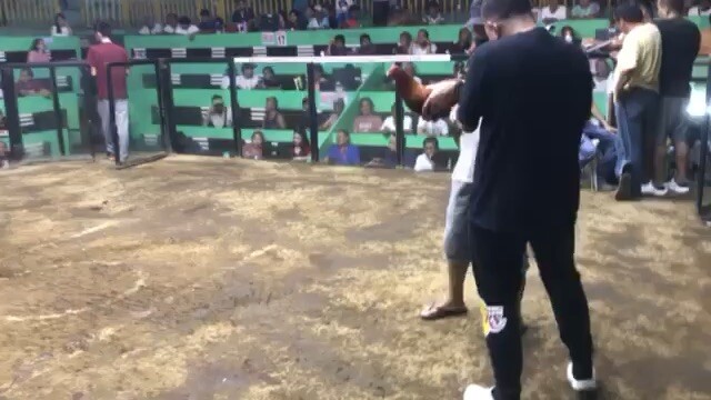 Our boston 1st fight WIN 2hits arcontica cockfit arena